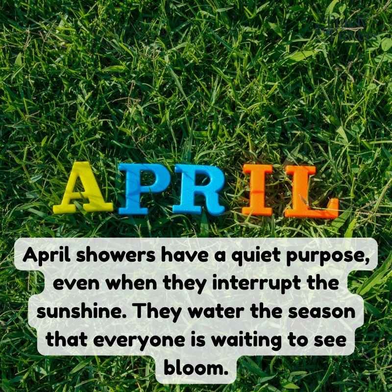 April Showers Quotes and Sayings About Rainy Spring Days
