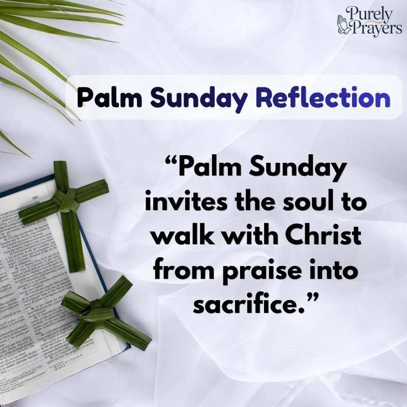 Catholic Reflections for Palm Sunday