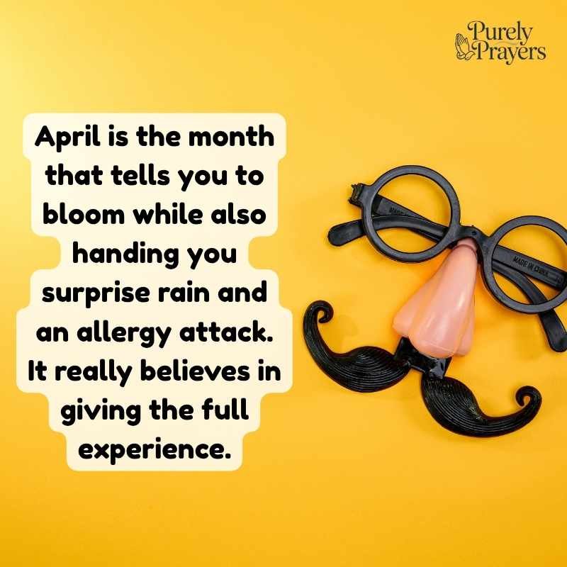 Funny April Quotes and Short Funny April Sayings
