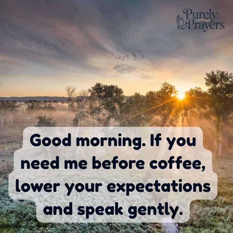 Funny Good Morning Quotes to Make You Smile
