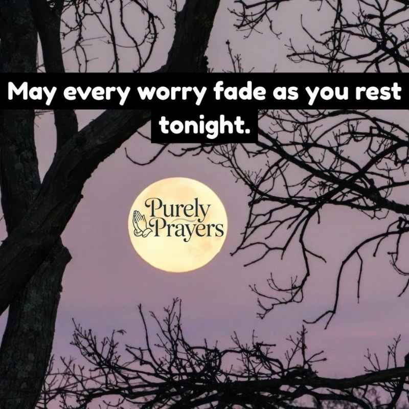 Good Evening and Friday Night Blessings for Rest and Gratitude
