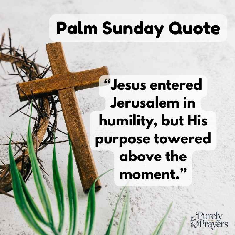 Jesus’ Triumphal Entry Into Jerusalem