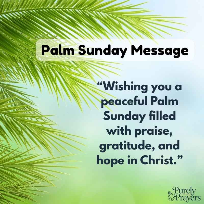 Palm Sunday Messages to Share With Loved Ones