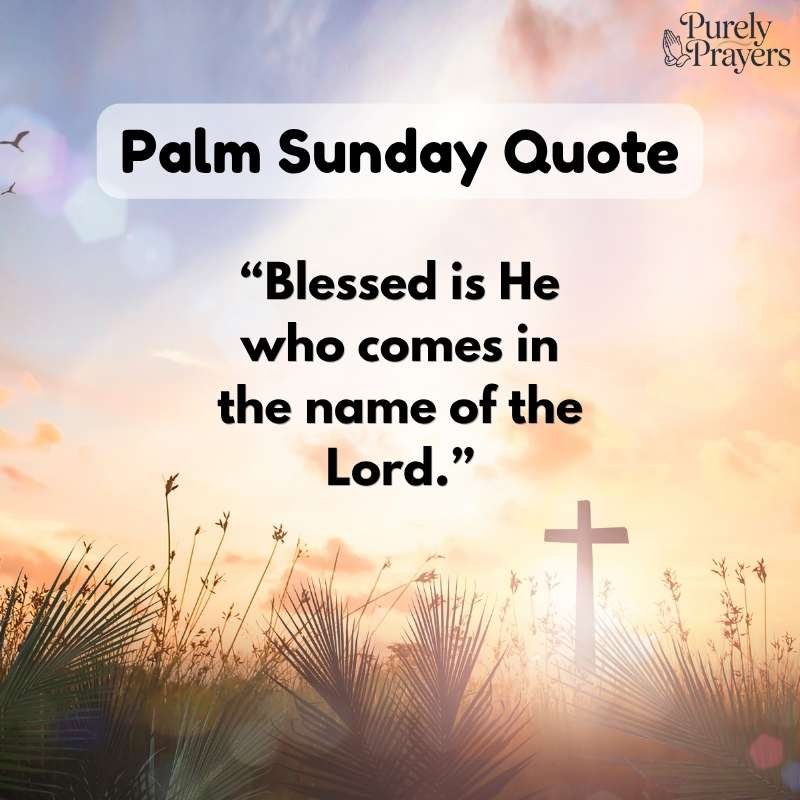 Palm Sunday Quotes From the Bible