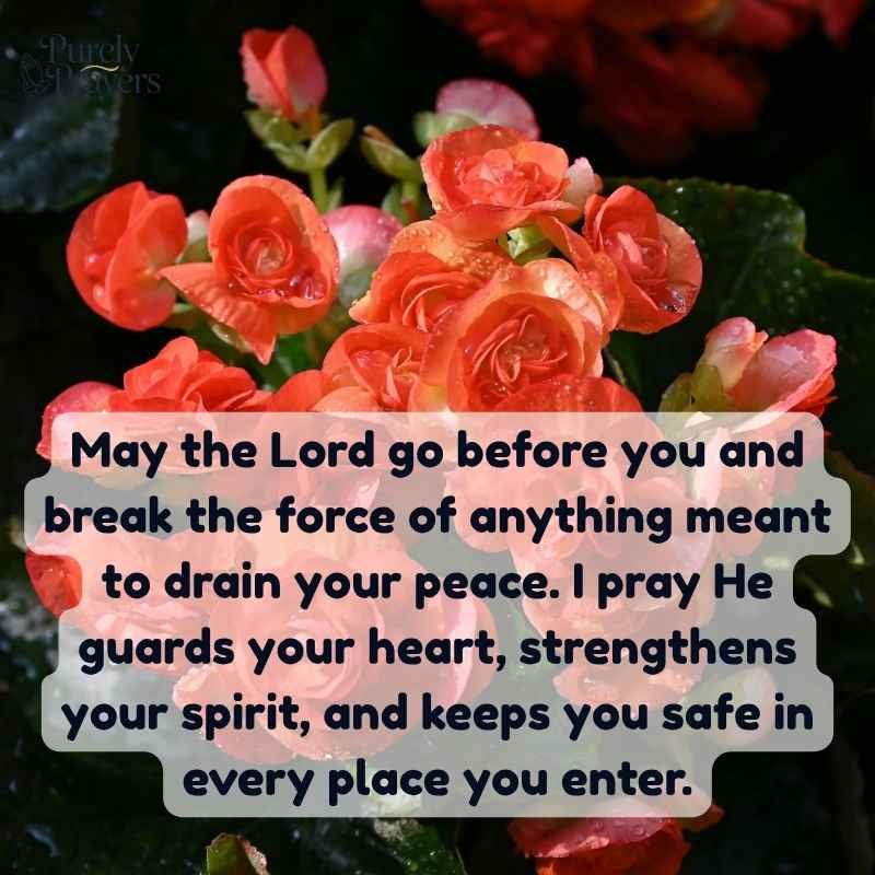 Powerful Morning Prayer for Love and Protection
