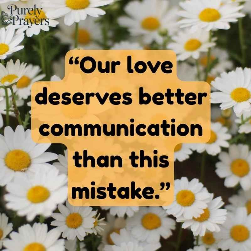 Sorry Quotes for Misunderstandings in a Relationship
