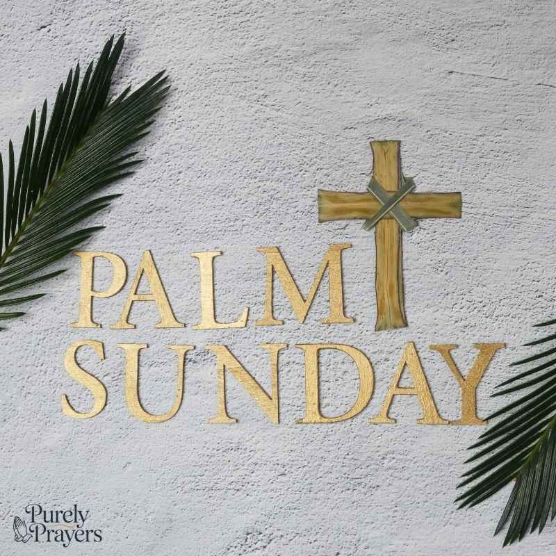 What Palm Sunday Means in Holy Week