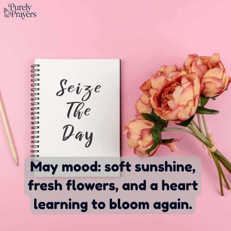 Aesthetic May Quotes for Instagram Captions