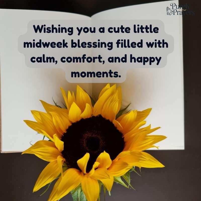 Cute and Lovely Wednesday Blessings for Social Sharing