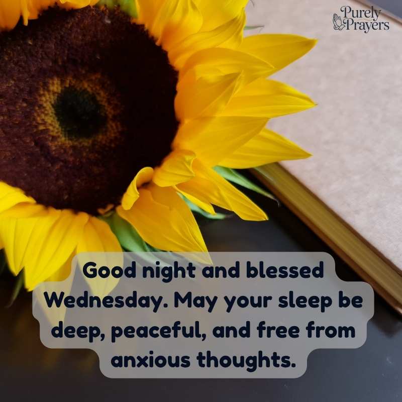 Good Night Wednesday Blessings for Rest, Comfort, and Protection