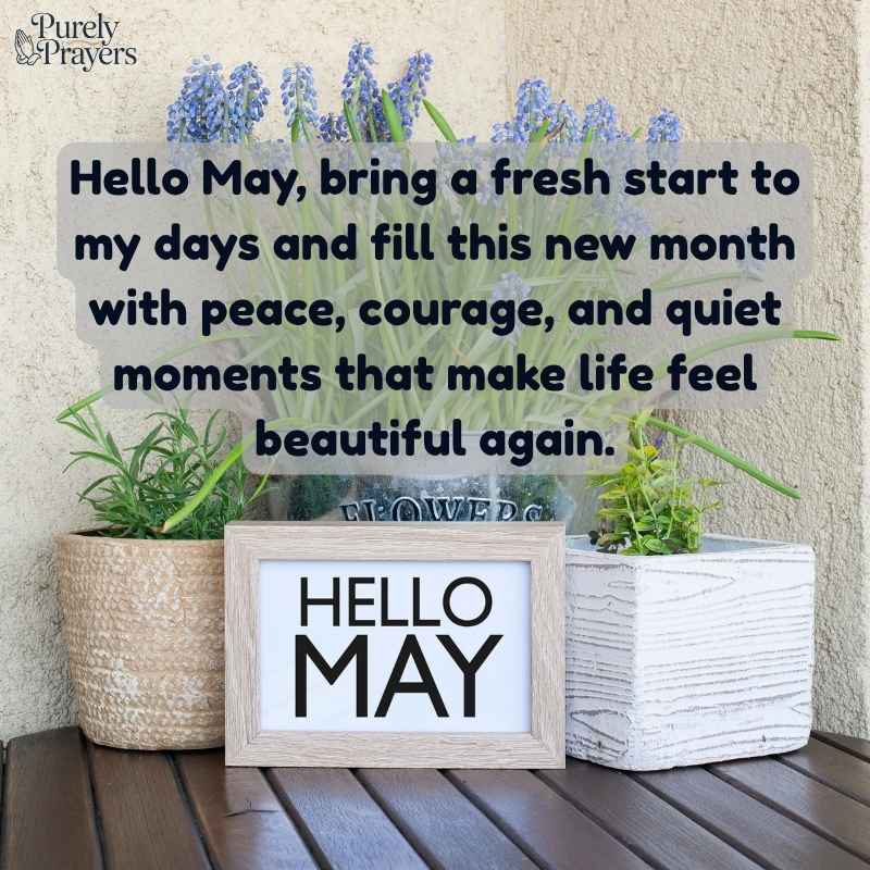 Hello May Quotes to Welcome a Fresh New Month