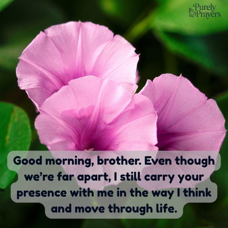 Long Morning Messages for a Brother Far Away