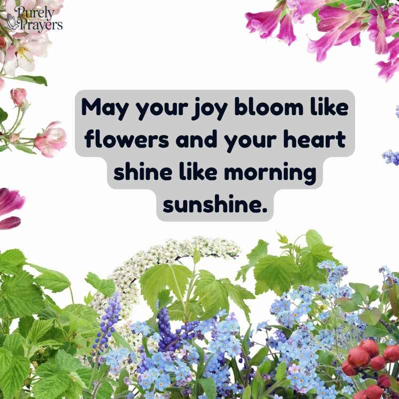 May Quotes About Joy, Sunshine, and Flowers