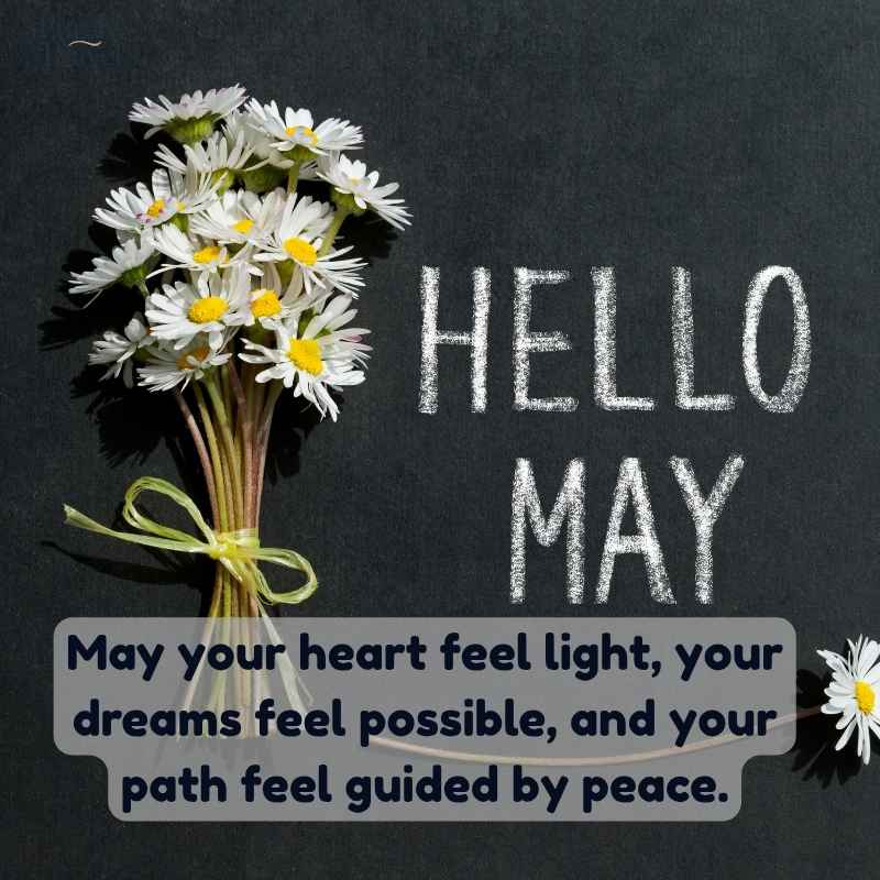 May Quotes in English for Captions, Cards, and Messages