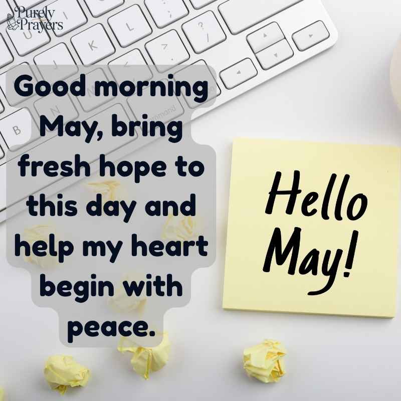 Hello May Quotes for Instagram, WhatsApp, and Social Posts