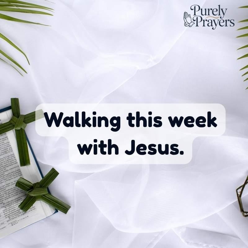 Short and Simple Lines for Instagram Posts and Stories