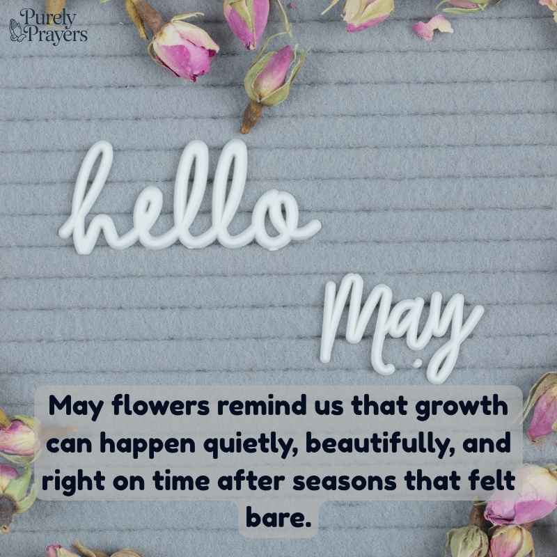 Spring Quotes for May Flowers, Sunshine, and New Life