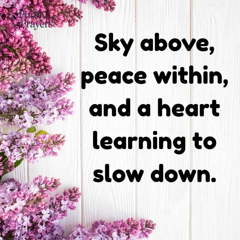 Sky Quotes Instagram Captions for Photos and Reels