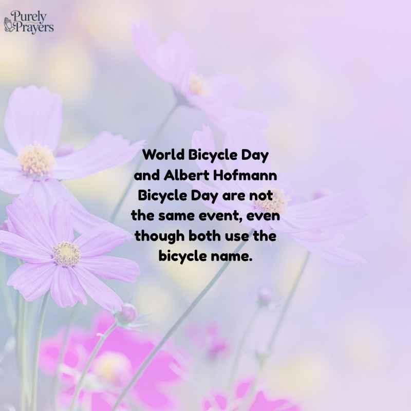 Bicycle Day Albert Hofmann Search Confusion