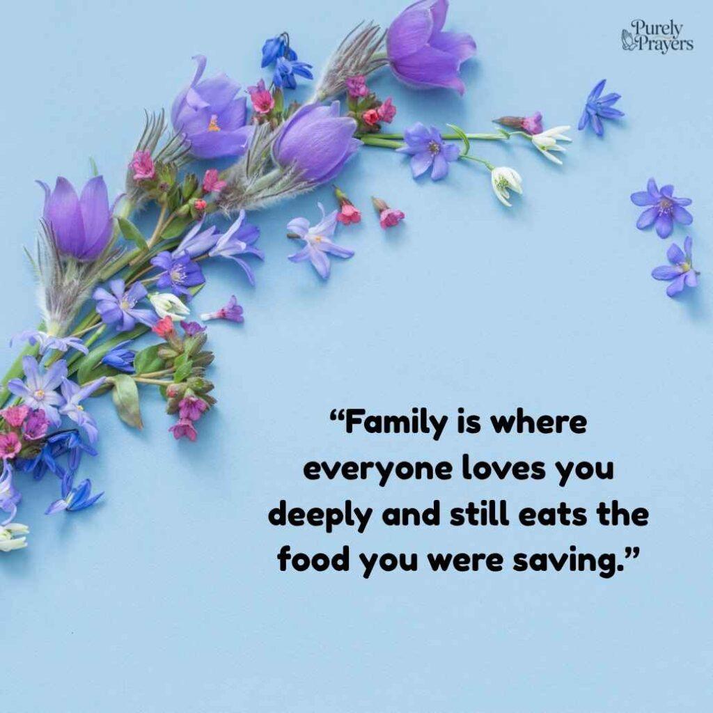 Funny Family Quotes for Home and Relatives