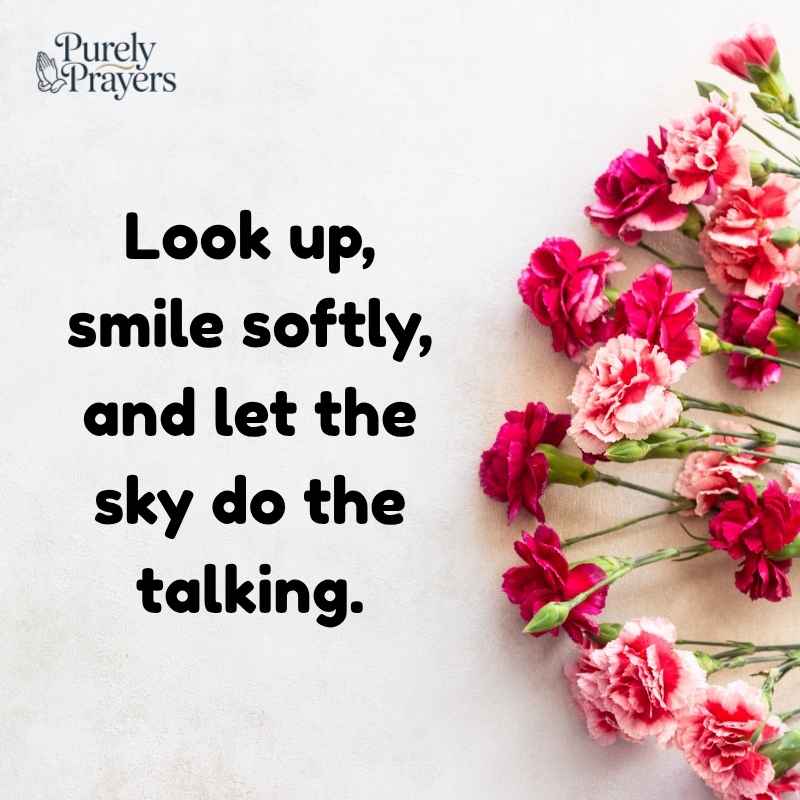 Look Up To The Sky Quotes for Instagram Captions
