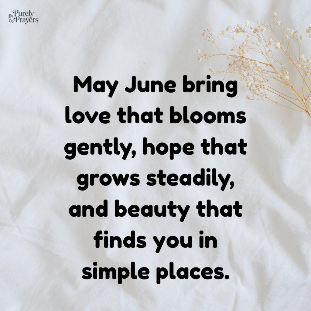Rose-Themed June Quotes for Love, Hope, and Beauty
