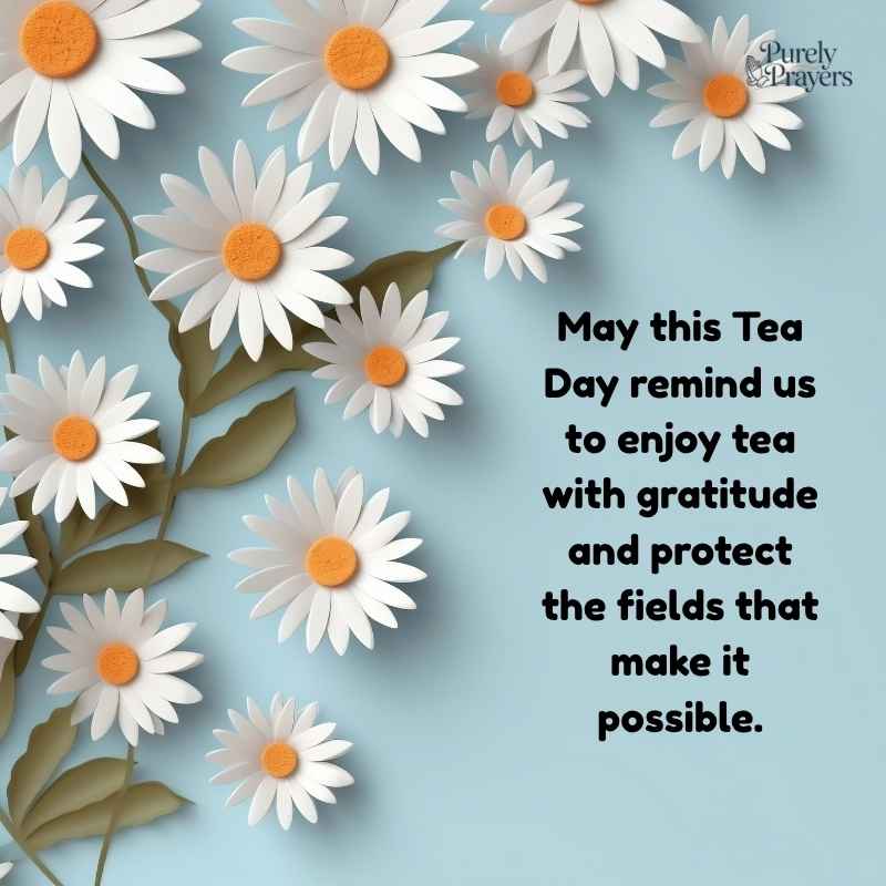 Sustaining Tea and Supporting Communities