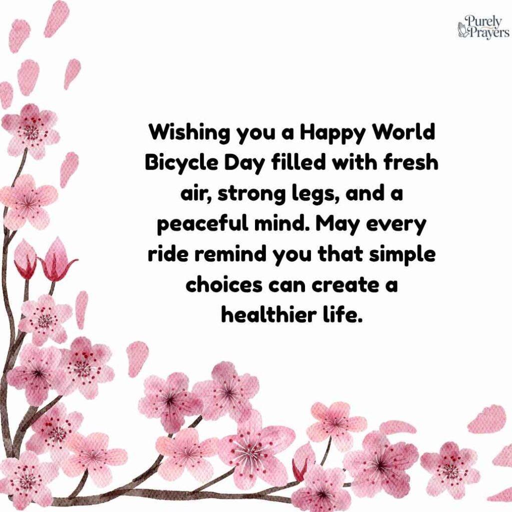 World Bicycle Day 2026 Highlights